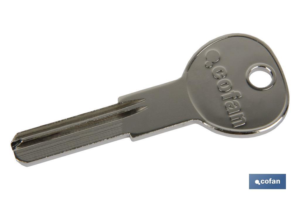 Llaves en bruto seguridad | Copia de llaves para cilindro de Seguridad | Pack de 5 copias de llaves en bruto